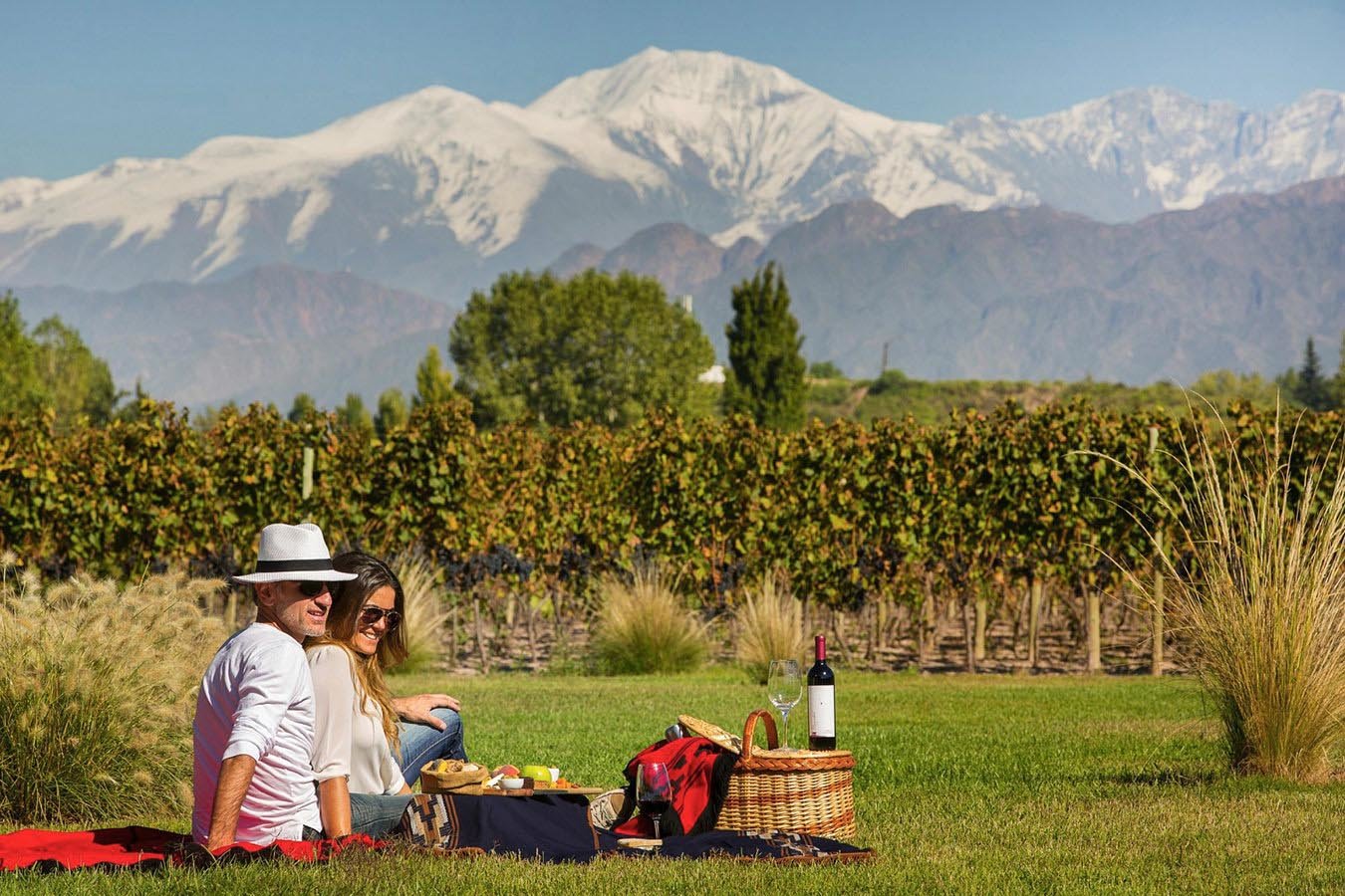 Enjoying a picnic next to the vineyards