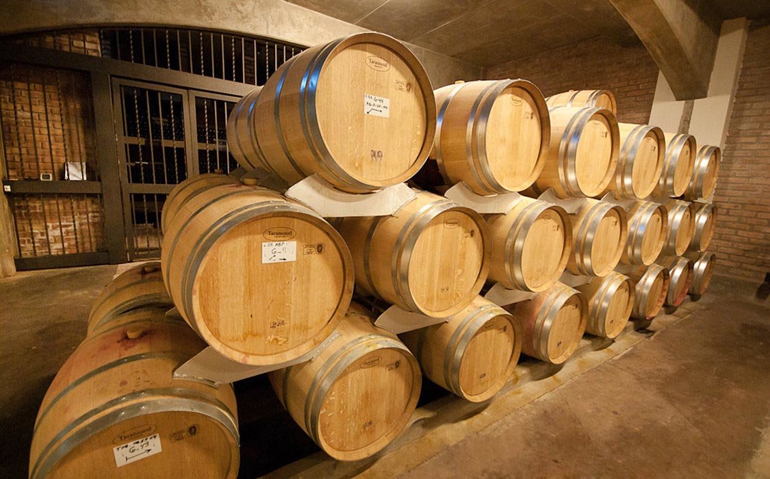 Visit 3 prestigious wineries, and savor the first-class wines of Mendoza’s wine region[1]