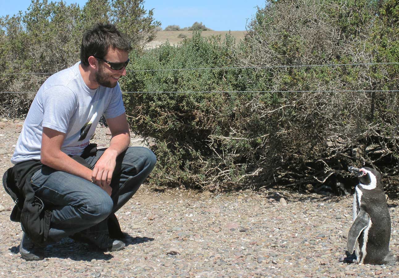 This beautiful variety of penguin is indigenous only to this region of the world