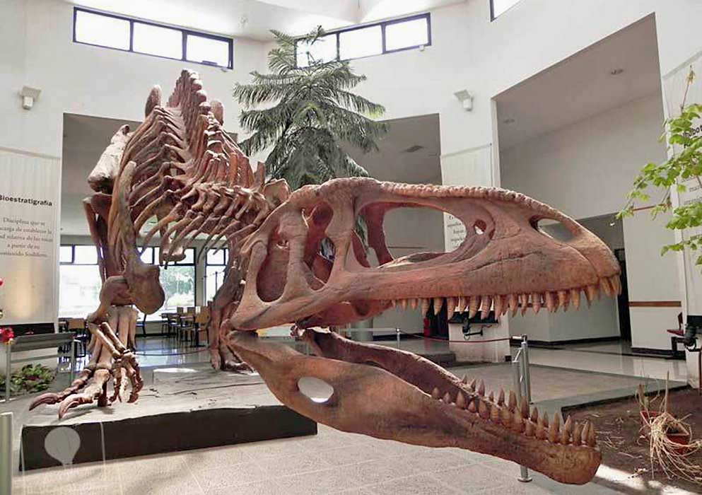 Take a step into a time when dinosaurs ruled the Earth!