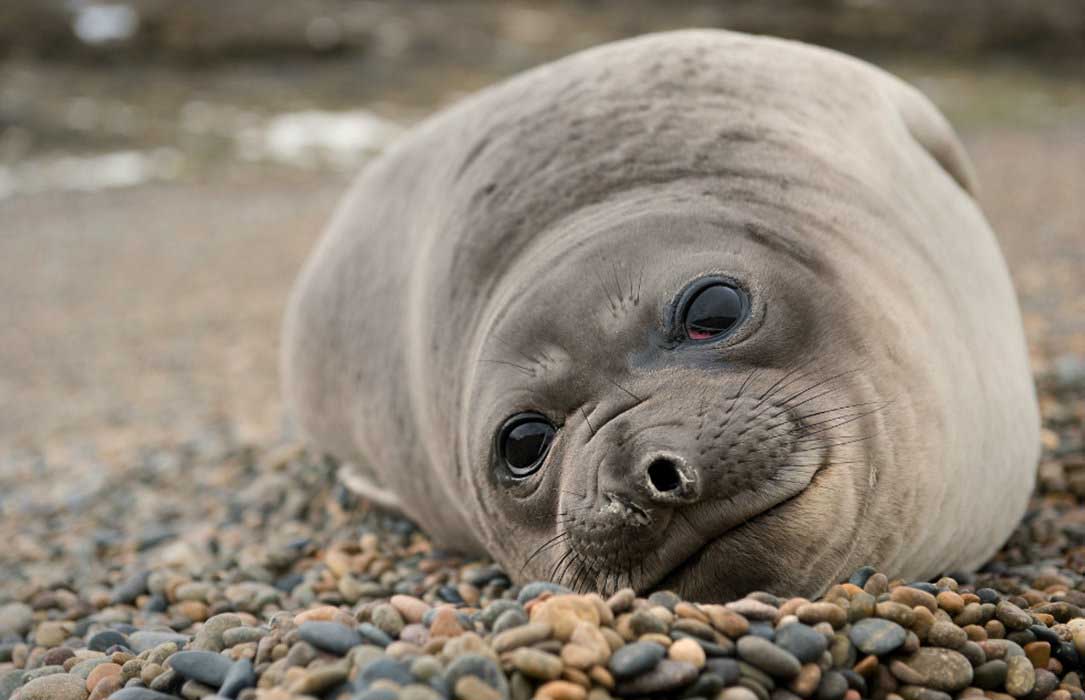 Ready your camera and enjoy memorable picture-taking opportunities