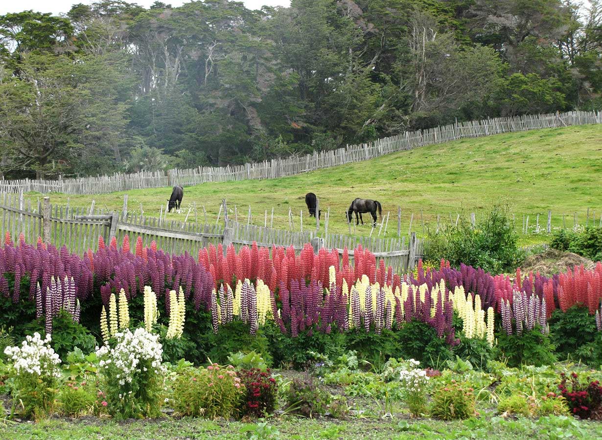 Enjoy nature, bright colors, and fresh air!