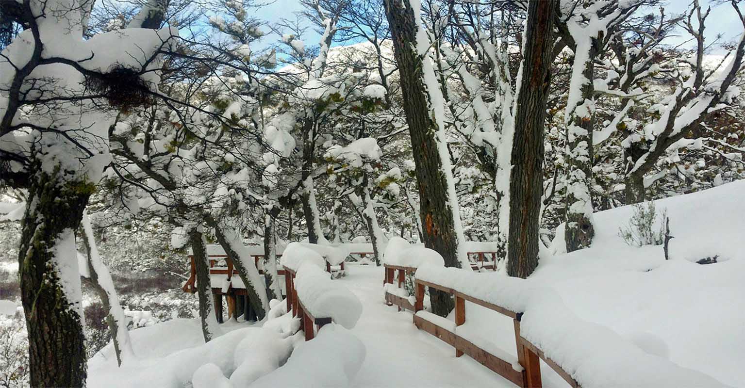 Enjoy the peace that comes with walking along tree-lined paths, in gorgeous brisk weather